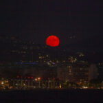 Dark Moon