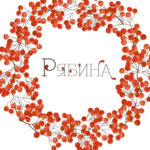 Рябина